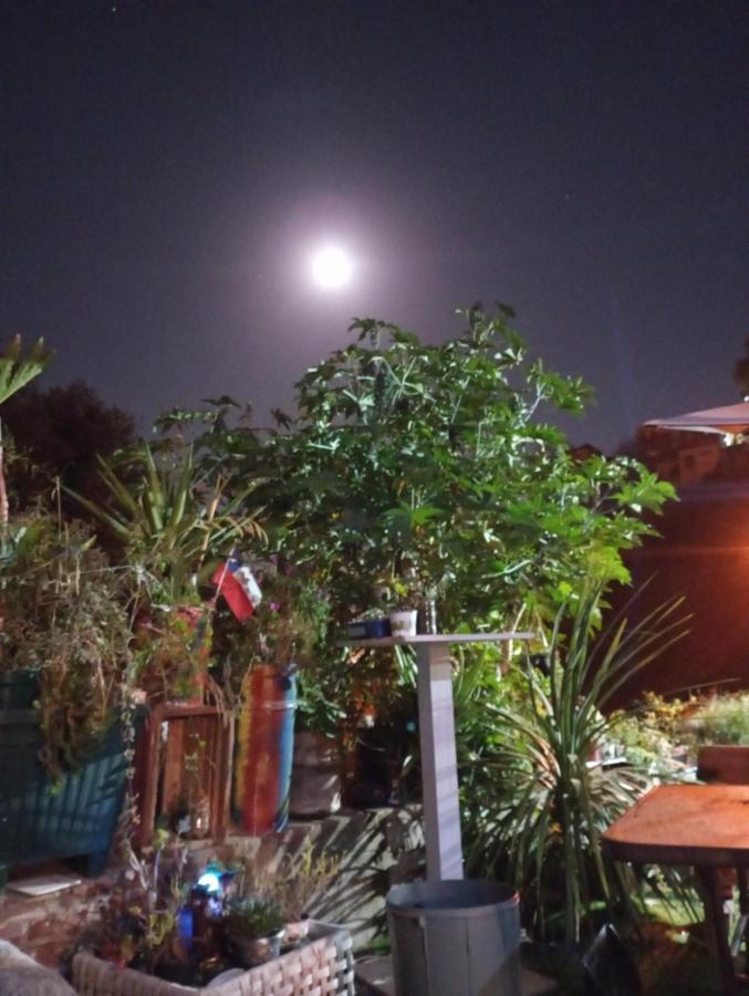 Selva Hospedaje Valparaiso Bagian luar foto