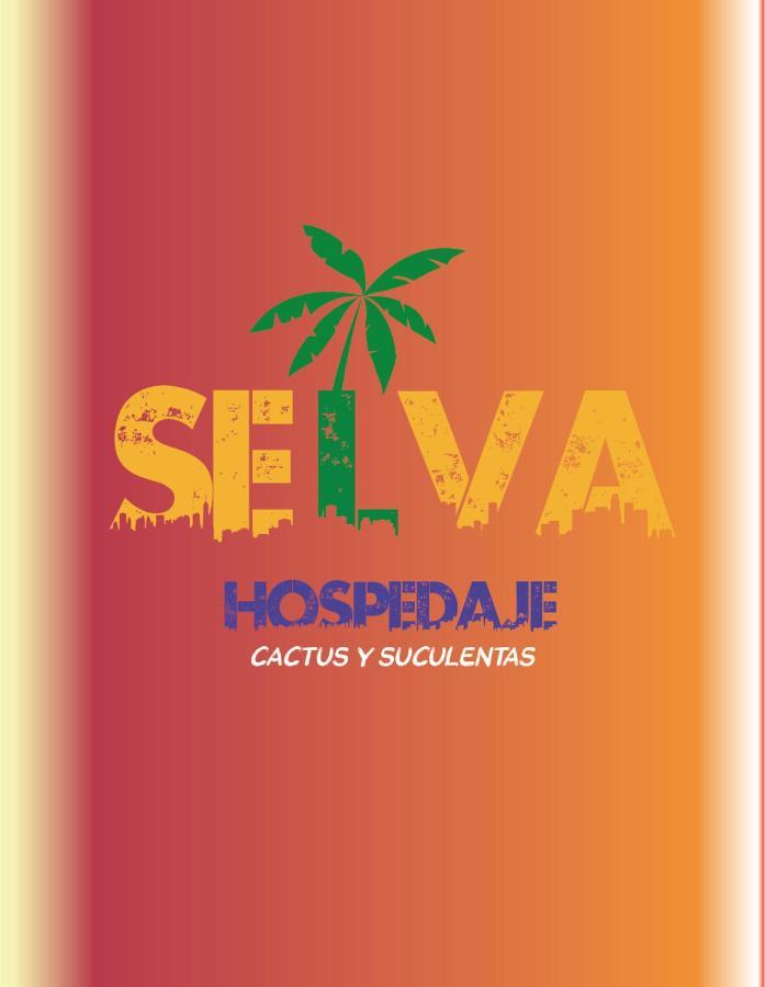Selva Hospedaje Valparaiso Bagian luar foto
